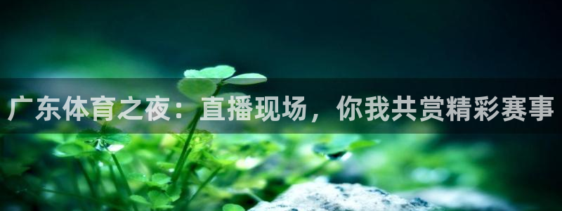 黑白体育直播app：广东体育之夜：直播现场，你我共赏精彩赛事