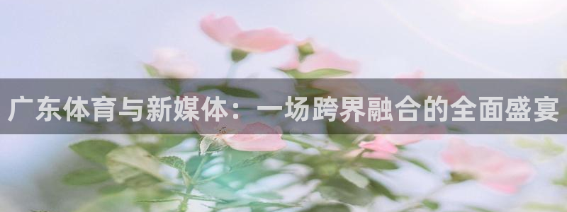nba直播 黑白体育：广东体育与新媒体：一场跨界融合的全面盛宴