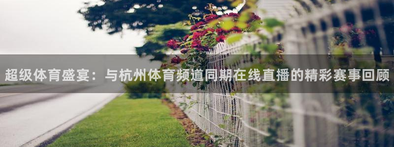 黑白直播体育官网nba在线：超级体育盛宴：与杭州体育频道同期在线直播的精彩赛事回顾