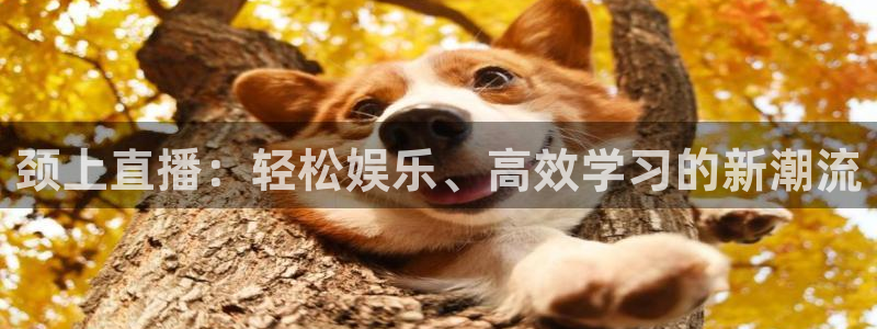 nba直播 黑白体育：颈上直播：轻松娱乐、高效学习的新潮流