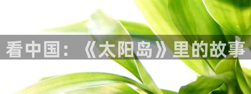 nba直播免费观看直播在线黑白直播：看中国：《太阳岛》里的故事