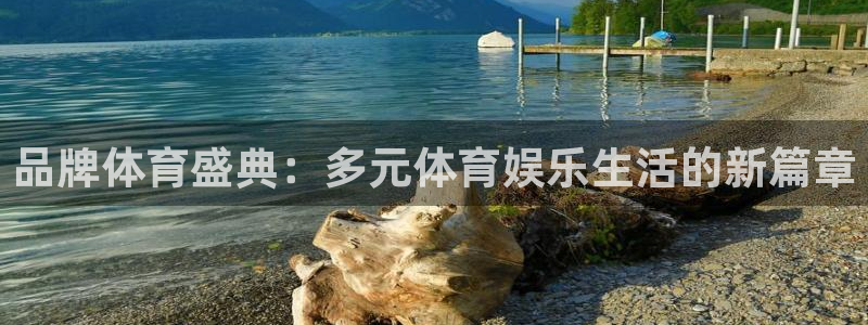 黑白视频足球直播：品牌体育盛典：多元体育娱乐生活的新篇章