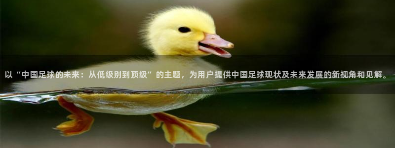 黑白体育nba直播在哪看：以“中国足球的未来：从低级别到顶级”的主题，为用户提供中国足球现状及未来发展的新视角和见解。