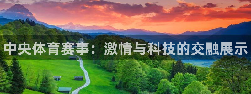旧版黑白直播体育app下载：中央体育赛事：激情与科技的交融展示