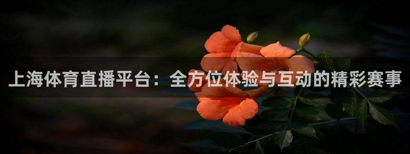黑白体育电视直播app：上海体育直播平台：全方位体验与互动的精彩赛事