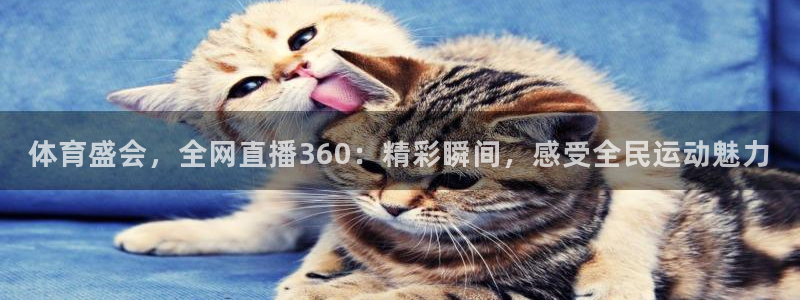 黑白直播免费体育直播高清：体育盛会，全网直播360：精彩瞬间，感受全民运动魅力